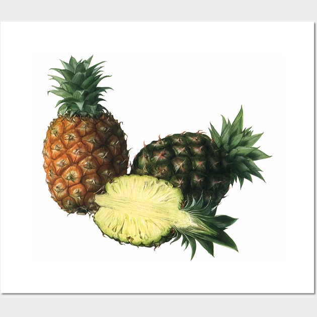 Vintage Hawaiian Pineapples Wall Art by MasterpieceCafe